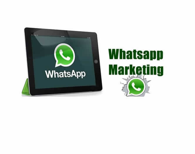 WhatsApp Marketing Solution