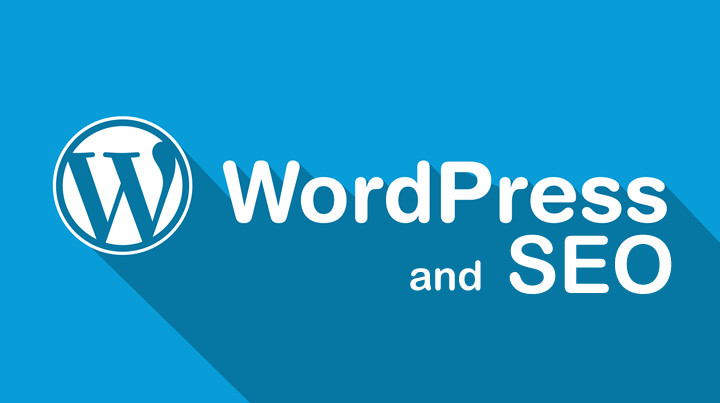 wordpress seo development