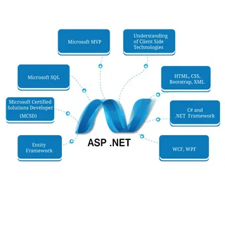 asp.net developer