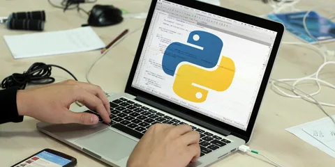 python website creation