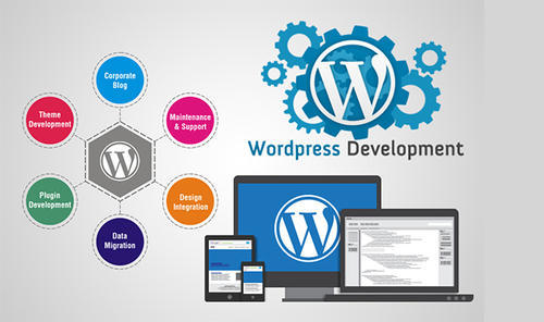 wordpress development