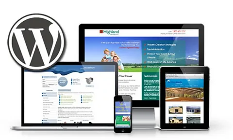 Website Theme Development Services